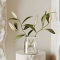 Clear Glass Vase With White Flower Buds And Green Leaves On White Pedestal Natural Light