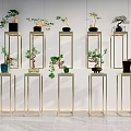 Modern Minimalist Interior With Multiple Golden Metal Plant Stands And Bonsai Trees