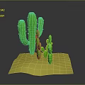 Green Cactus Plants of Different Sizes on Yellow Base with Gray Background