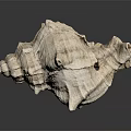 Sea Snail With White Shell Featuring Irregular Textured Protrusions On Dark Background 3d model
