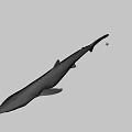 Realistic Shark Figure With Sleek Body And Fin Details On Gray Backdrop