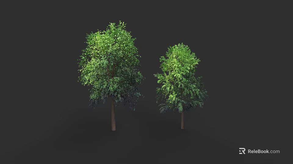 Realistic Botanical Painting Featuring Two Trees With Green Leaves And Brown Trunks On Black Background 3d model 
