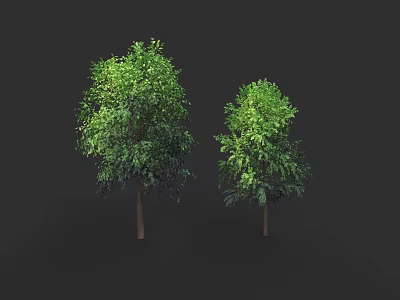 Realistic Botanical Painting Featuring Two Trees With Green Leaves And Brown Trunks On Black Background 3d model