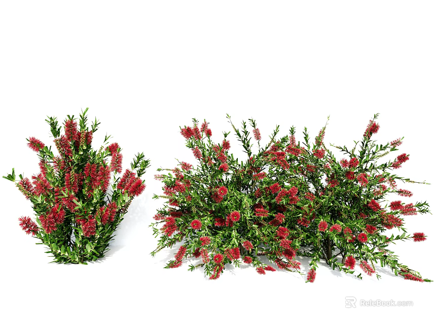 Decorative Shrubs With Green Leaves And Red Flowers For Home Decoration 3d model 