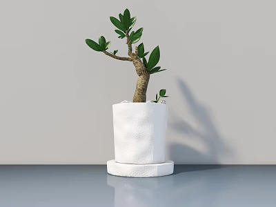 Bonsai Plant With Green Leaves And Brown Trunk In White Pot On Gray Tabletop 3d model