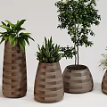 Modern Bonsai Potted Plants Arrangement With Natural Wood Planters And Various Green Foliage
