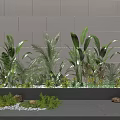 Indoor Landscape With Various Green Plants Large Leaves Stone Decorations And Light Brick Wall Background