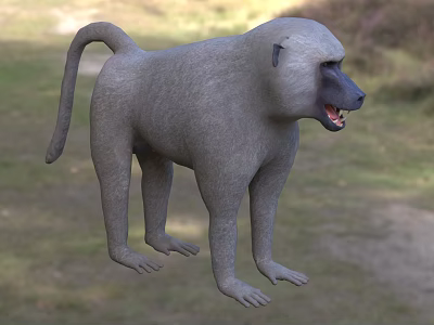 Gray Reptile Lizard Standing Upright On Natural Grassland Habitat Area 3d model