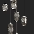 Elegant Modern Transparent Oval Shaped Pendant Lights With Metallic Hanging Frames 3d model
