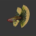 Vibrant Aquatic Fish with Yellow and Black Patterned Flowy Decorative Tail Design