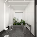 Bright Sleek Modern Public Toilet Interior Design With Indoor Green Plants And Accessible Handrails