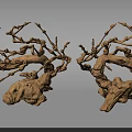 Pair of Golden Branch Shaped Artistic Decorative Ornaments With Natural Root Base