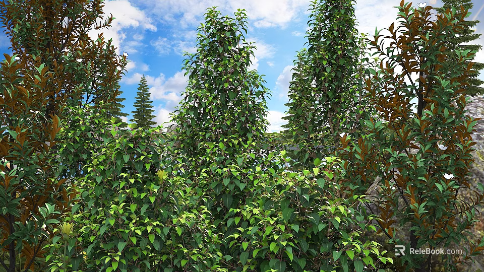 Lush Green Bushes With Dense Foliage Growing Tall Against Blue Sky And Trees 3d model 