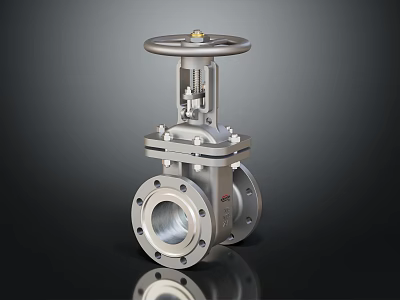 Industrial Stainless Steel Gate Valve With Flanged Ends And Handwheel Operation Design 3d model