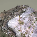 Natural Wooden Sticks And Rough Stone Boulders On Earthy Outdoor Ground