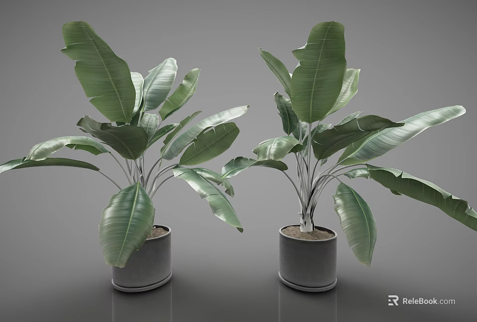 Potted Plants with Lush Green Leaves in Gray Pots for Indoor Home Decoration 3d model 