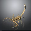 3D Realistic Brown Scorpion Model With Dark Reflective Surface Background 3d model