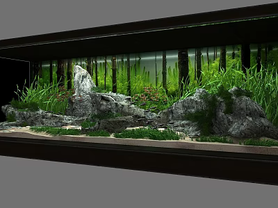 Natural Style Aquarium Tank With Green Aquatic Plants Rocks And Sand Substrate 3d model