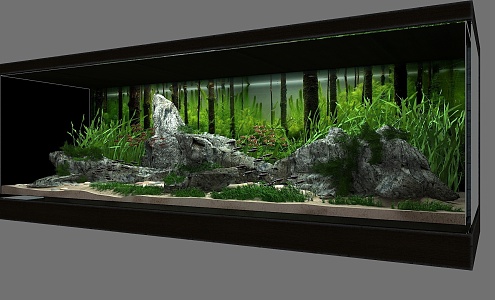 Grass Gang Landscape Aquarium 3d model