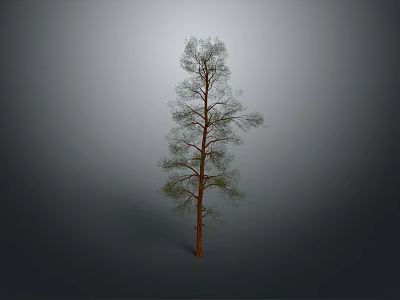 Isolated Tree With Brown Trunk And Green Leaves Against Gray Gradient Background 3d model