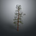 Isolated Tree With Brown Trunk And Green Leaves Against Gray Gradient Background