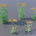 3D Rendered Yellow Flowering Plants With Green Leaves Black Centers And Shadows
