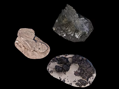 Natural Stone and Wood Different Types Material Samples With Textured Surfaces On 3d model