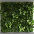 Indoor Living Plant Wall With Lush Green Foliage And Natural Decor