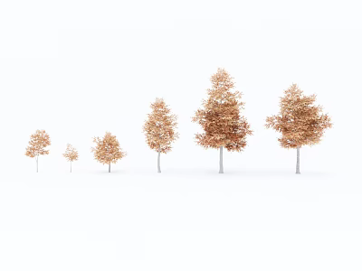 Golden Leaf Trees of Various Sizes Standing in a Row Against White Background 3d model