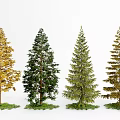 Various Colored Arbor Trees with Yellow Green and Snow Covered Foliage on Grass
