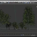 Diverse Arbor Trees Collection With Various Sizes Green Foliage And Heights