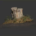 Natural Wooden Tree Stump Decor With Rocky Ground And Green Grass