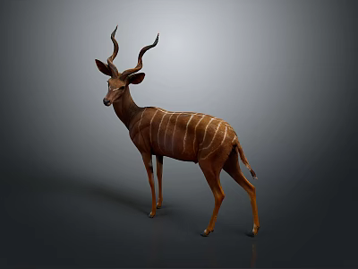 Greater Kudu Antelope With Striped Body Standing On Gray Background Featuring Long Curved Horns 3d model