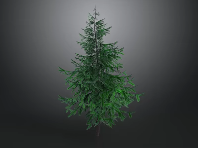 Tall Green Tree With Lush Dense Foliage Standing Isolated Against Dark Background 3d model