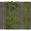 Living Plant Wall Design With Various Green Foliage And Wooden Panels