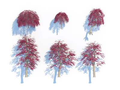 Red Leaf Arbor Trees Featuring Diverse Crown Shapes And Heights For Landscaping 3d model