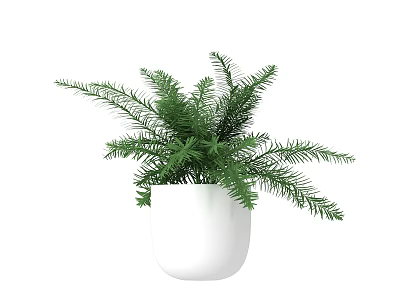 Modern Potted Plant 3d model Modern Potted Plant 3d model