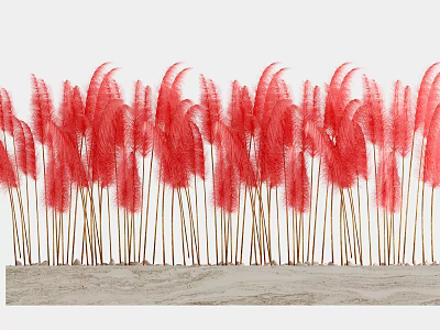 Red Ornamental Grass With Tall Feathery Plumes On Wooden Base For Decoration 3d model