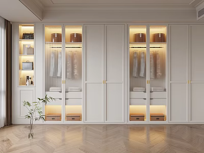 Modern White Wardrobe With Glass Doors Built-in Lighting And Storage Design 3d model