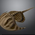 Detailed Horseshoe Crab Close Up View With Brown Striped Shell And Long Tail