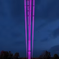 Tall Road Infrastructure Illuminated with Purple Lights Against Night Sky with Flying Bird
