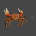 Appetizing Red Steamed Crab With Large White Claws And Colorful Cube