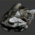 Natural Wood Stone Formation Featuring Rough Texture Irregular Shape And Pink Gray Hues