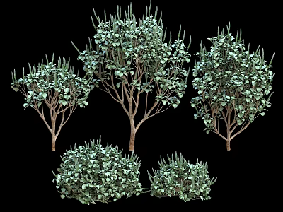 Green Leafy Shrubs With Various Sizes And Dense Foliage For Garden Landscaping 3d model