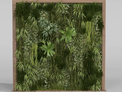 Lush Indoor Living Green Plant Wall With Various Ferns Vines and Wooden Frame Decoration 3d model