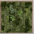 Lush Indoor Living Green Plant Wall With Various Ferns Vines and Wooden Frame Decoration
