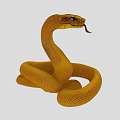 Striking Yellow Coiled Snake With Extended Tongue Showcasing Reptile Features