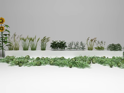 Green Agricultural Crops With Sunflowers Various Herbs And Fruits On Ground 3d model