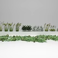 Green Agricultural Crops With Sunflowers Various Herbs And Fruits On Ground