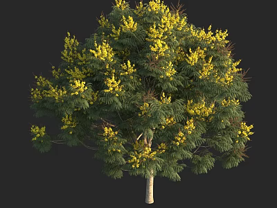 Lush Green Arbor With Yellow Flowers And White Trunk In Natural Scene 3d model